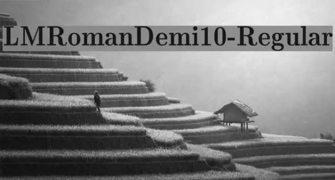 LMRomanDemi10-Regular Font examples