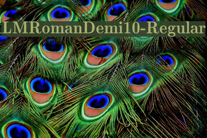 LMRomanDemi10-Regular Font examples