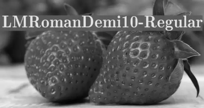 LMRomanDemi10-Regular Font examples