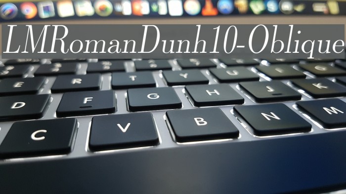 LMRomanDunh10-Oblique Font examples