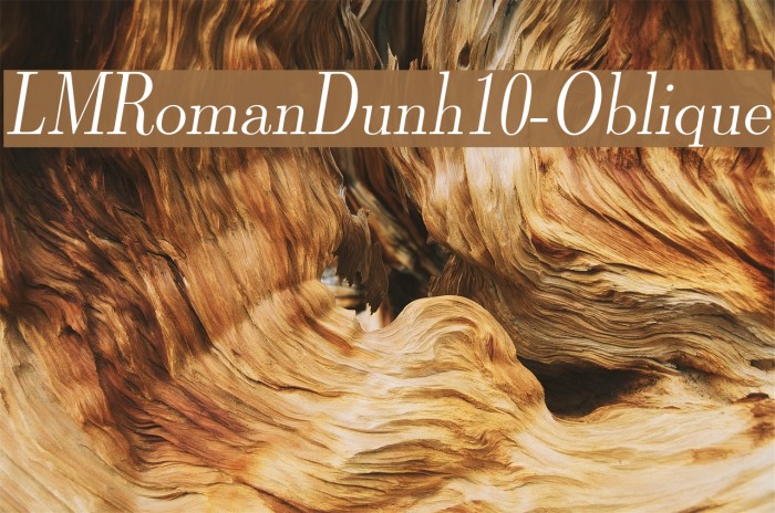 LMRomanDunh10-Oblique Font examples