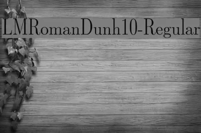 LMRomanDunh10-Regular  examples