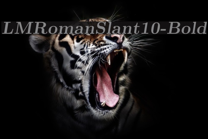 LMRomanSlant10-Bold Font examples