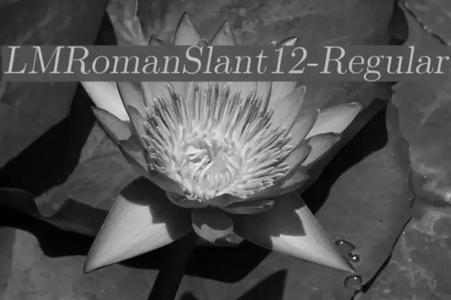 LMRomanSlant12-Regular  examples