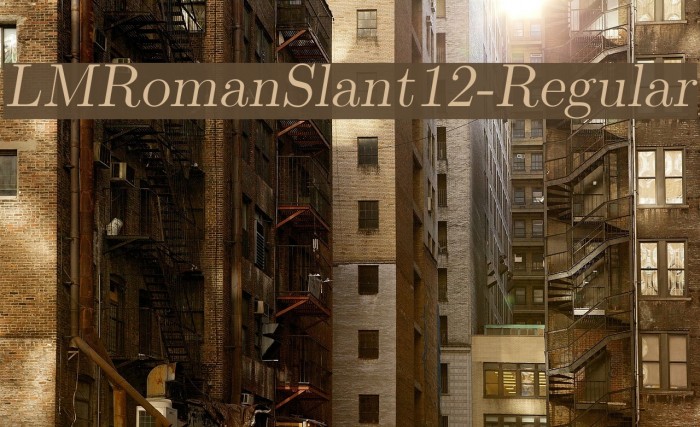 LMRomanSlant12-Regular Font examples