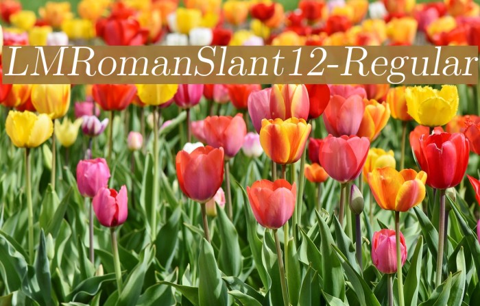 LMRomanSlant12-Regular Font examples
