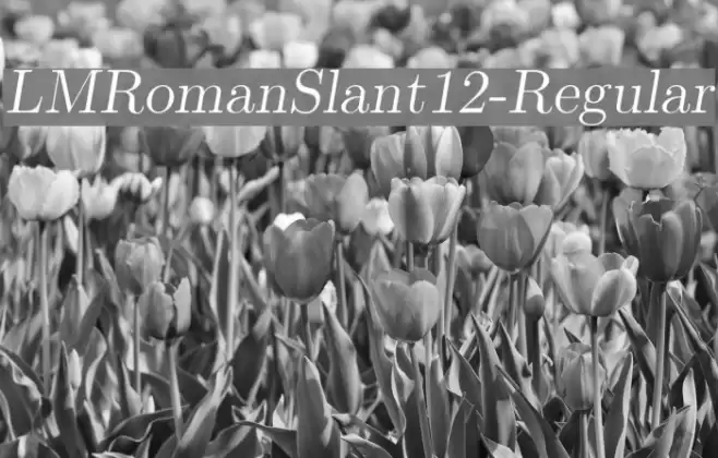 LMRomanSlant12-Regular  examples