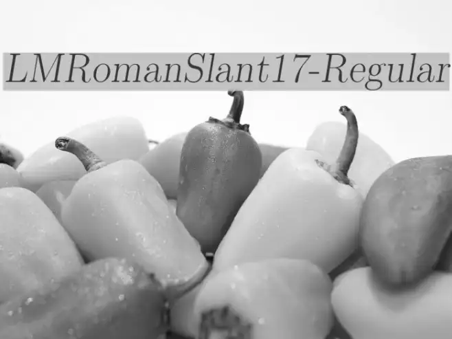 LMRomanSlant17-Regular Example 1