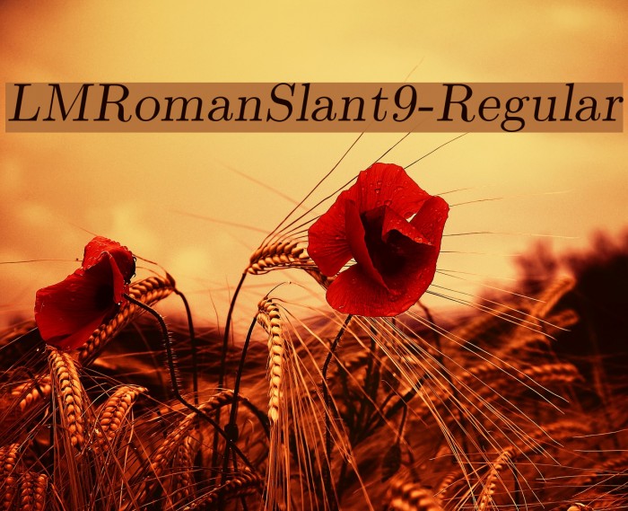 LMRomanSlant9-Regular Font examples