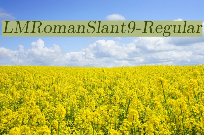 LMRomanSlant9-Regular Font examples