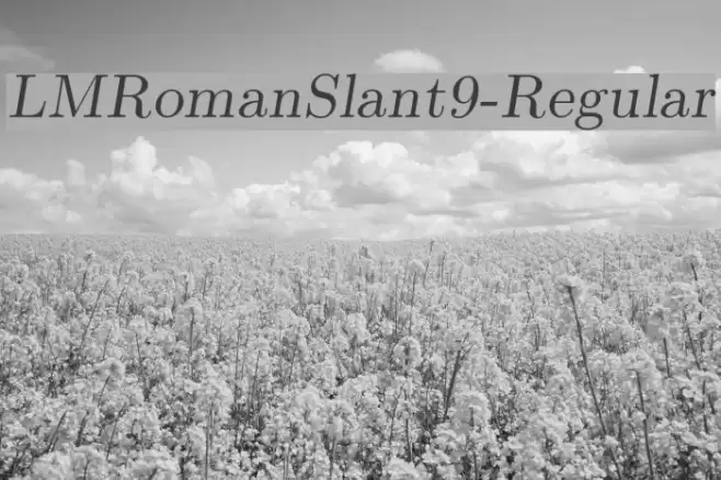 LMRomanSlant9-Regular examples