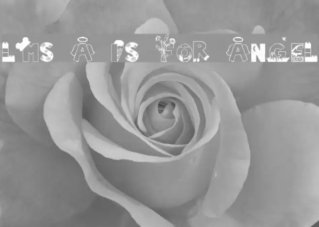 LMS A Is For Angel Example 3