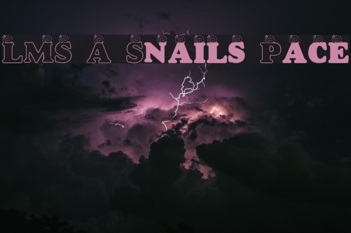 LMS A Snail's Pace Font examples