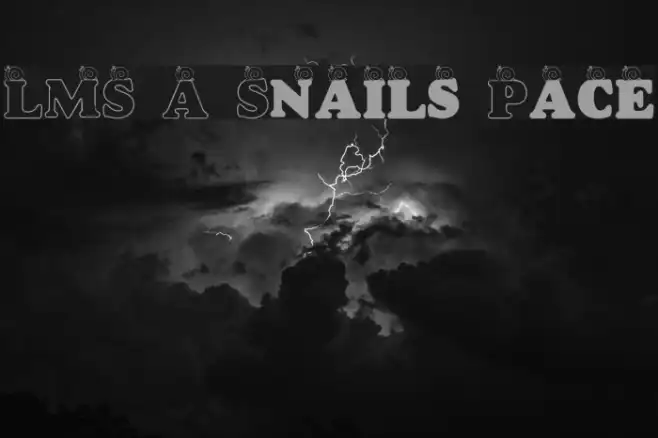 LMS A Snail's Pace Example 1