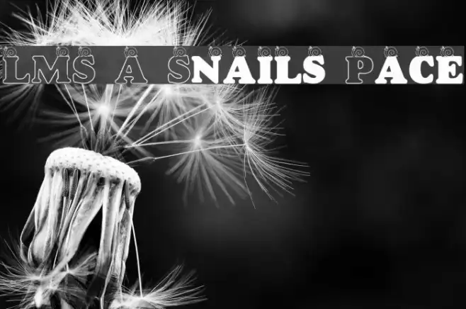 LMS A Snail's Pace Example 2