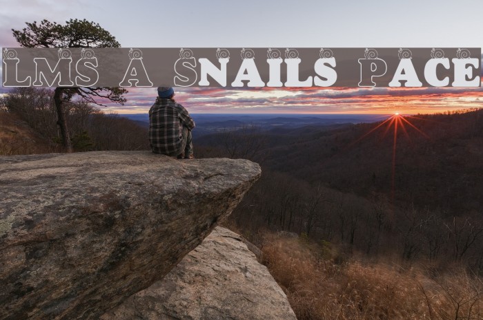 LMS A Snail's Pace Font examples