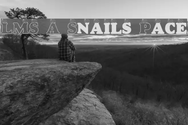 LMS A Snail's Pace Example 3