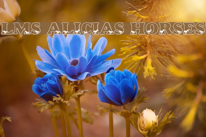 LMS Alicia's Horses Font examples