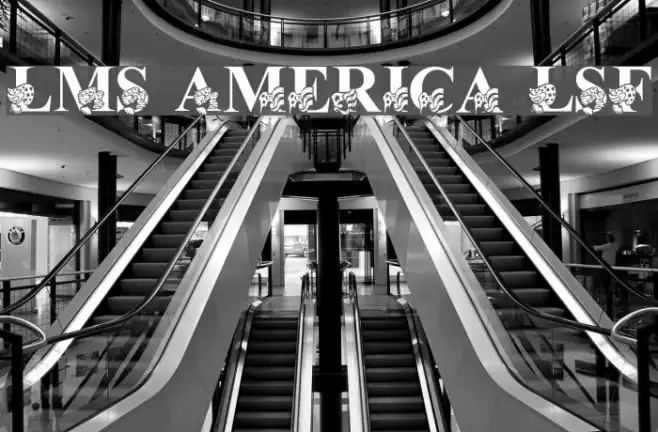 LMS America LSF Example 1