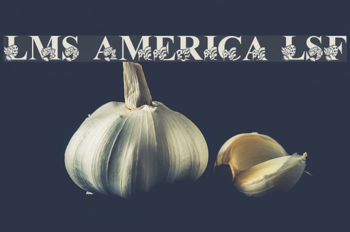 LMS America LSF Font examples