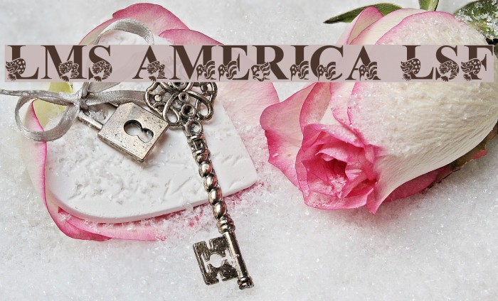 LMS America LSF Font examples