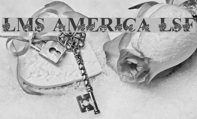 LMS America LSF Example 3