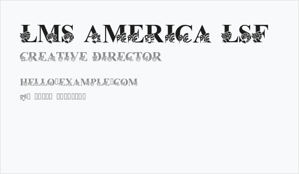 LMS America LSF Business Card