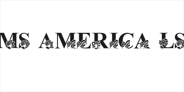 LMS America LSF Logo