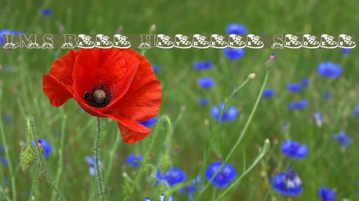 LMS Baby Hayden's Shoes Example 2