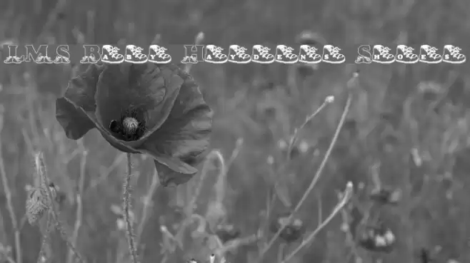 LMS Baby Hayden's Shoes Font examples