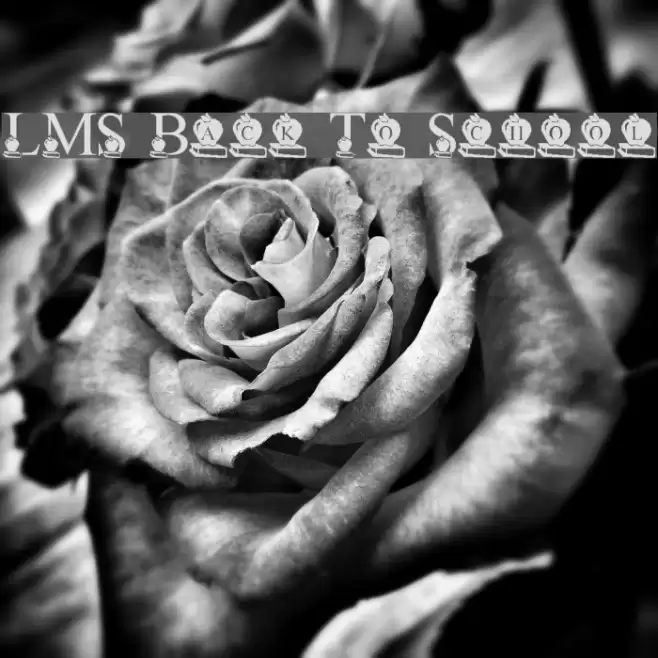 LMS Back To School Font examples