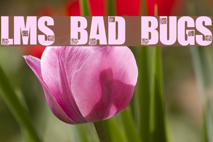 LMS Bad Bugs Font examples