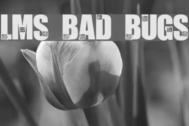 LMS Bad Bugs Example 1