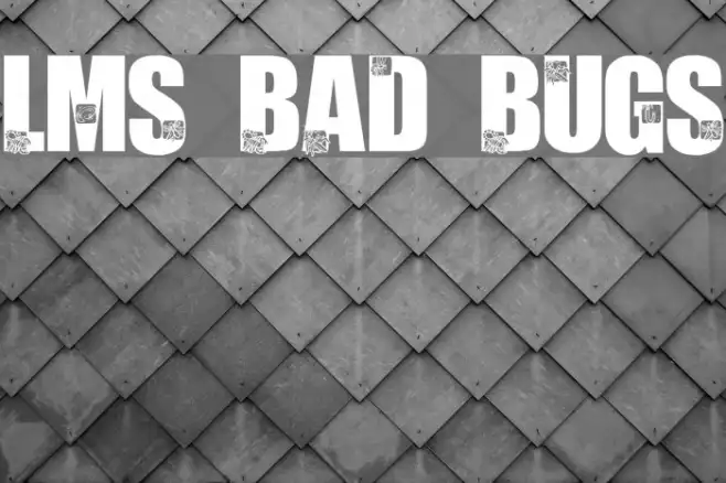 LMS Bad Bugs Example 2