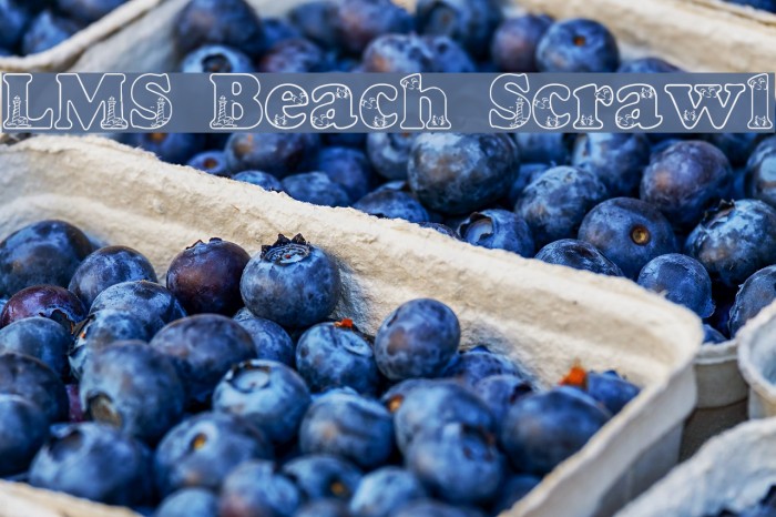 LMS Beach Scrawl Font examples