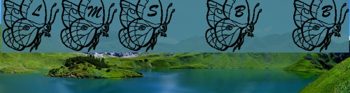 LMS Beautiful Butterfly Font examples