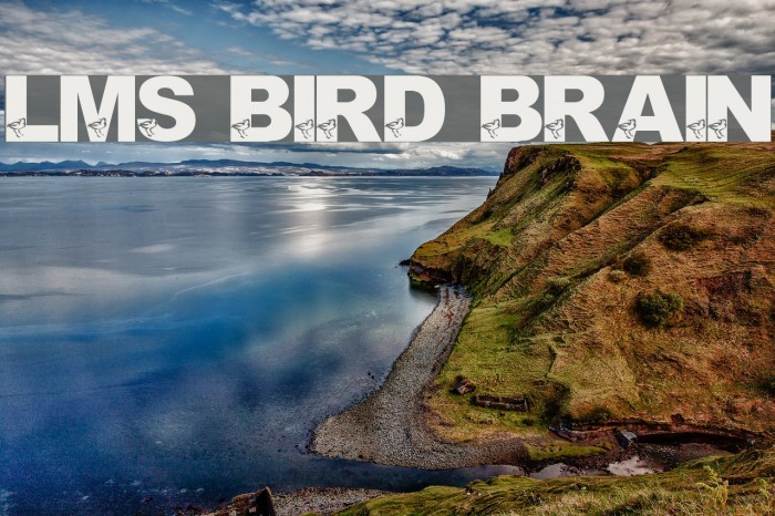LMS Bird Brain Font examples