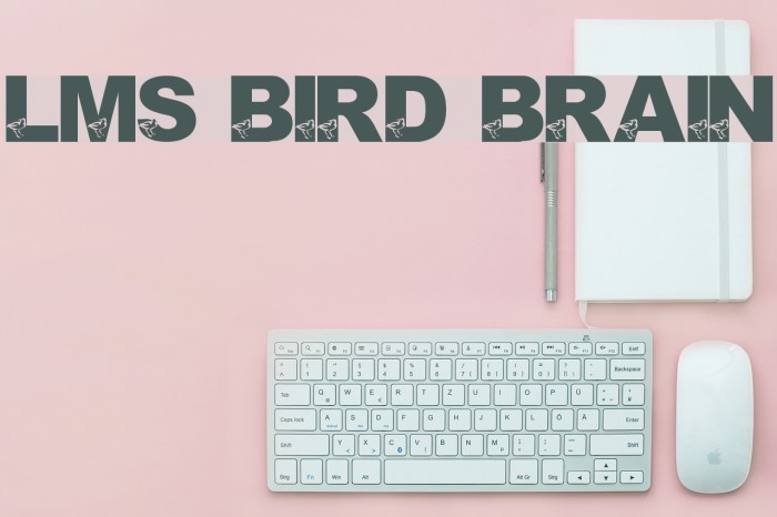 LMS Bird Brain Font examples