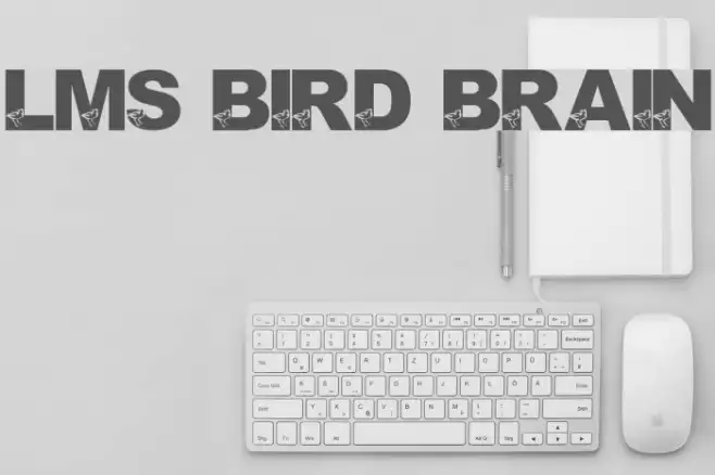 LMS Bird Brain Example 3