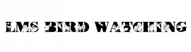 LMS Bird Watching  font caratteri gratis