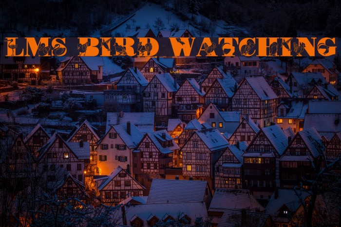 LMS Bird Watching Font examples