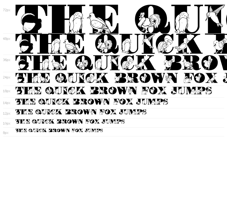 LMS Bird Watching Waterfall