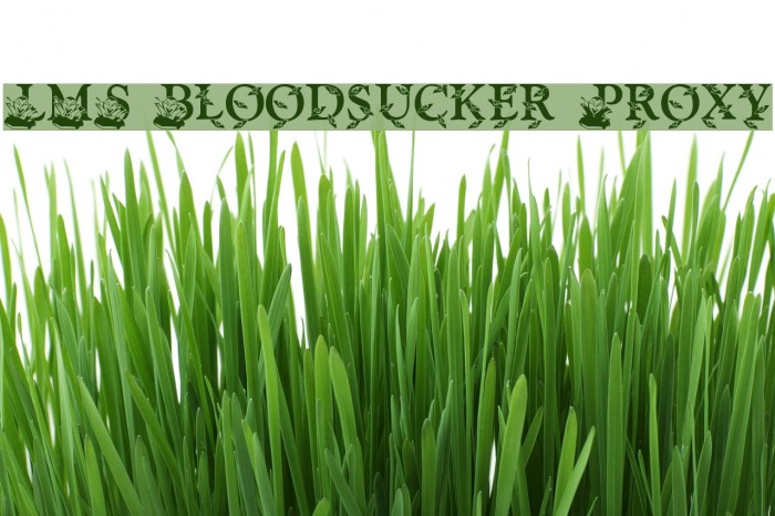 LMS Bloodsucker Proxy Font examples