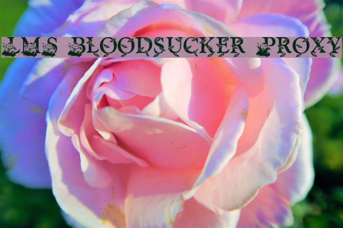 LMS Bloodsucker Proxy Font examples