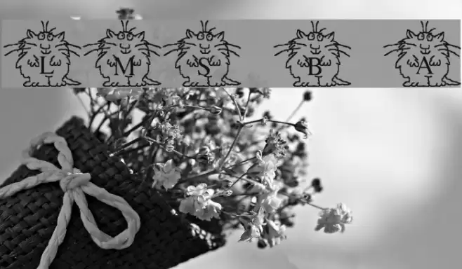 LMS Boyton Alphabet Font examples