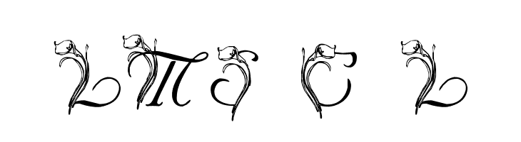 LMS Calla Lily  Frei Schriftart Herunterladen