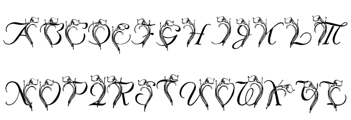 LMS Calla Lily Font OTHER CHARS