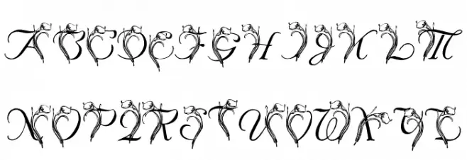 LMS Calla Lily Font OTHER CHARS