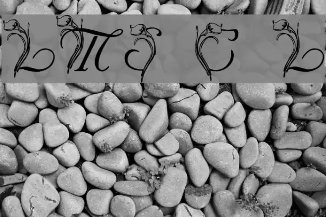 LMS Calla Lily Font examples