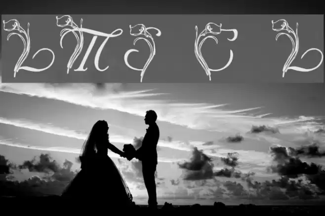 LMS Calla Lily Font examples